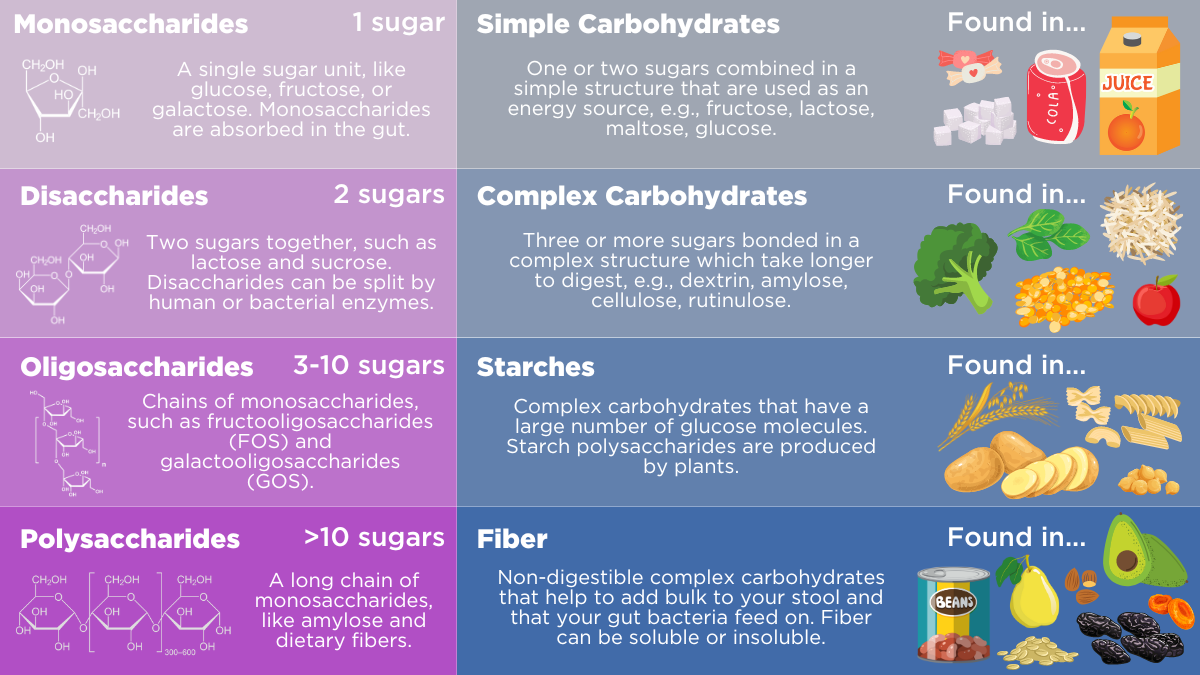 A list of different carbohydrates