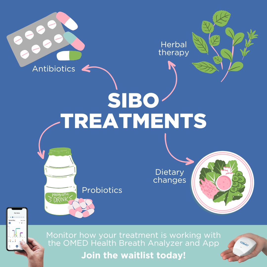 Treatment for SIBO graphic, showing antibiotics, herbal therapy, probiotics, and dietary therapy as options for treating SIBO.