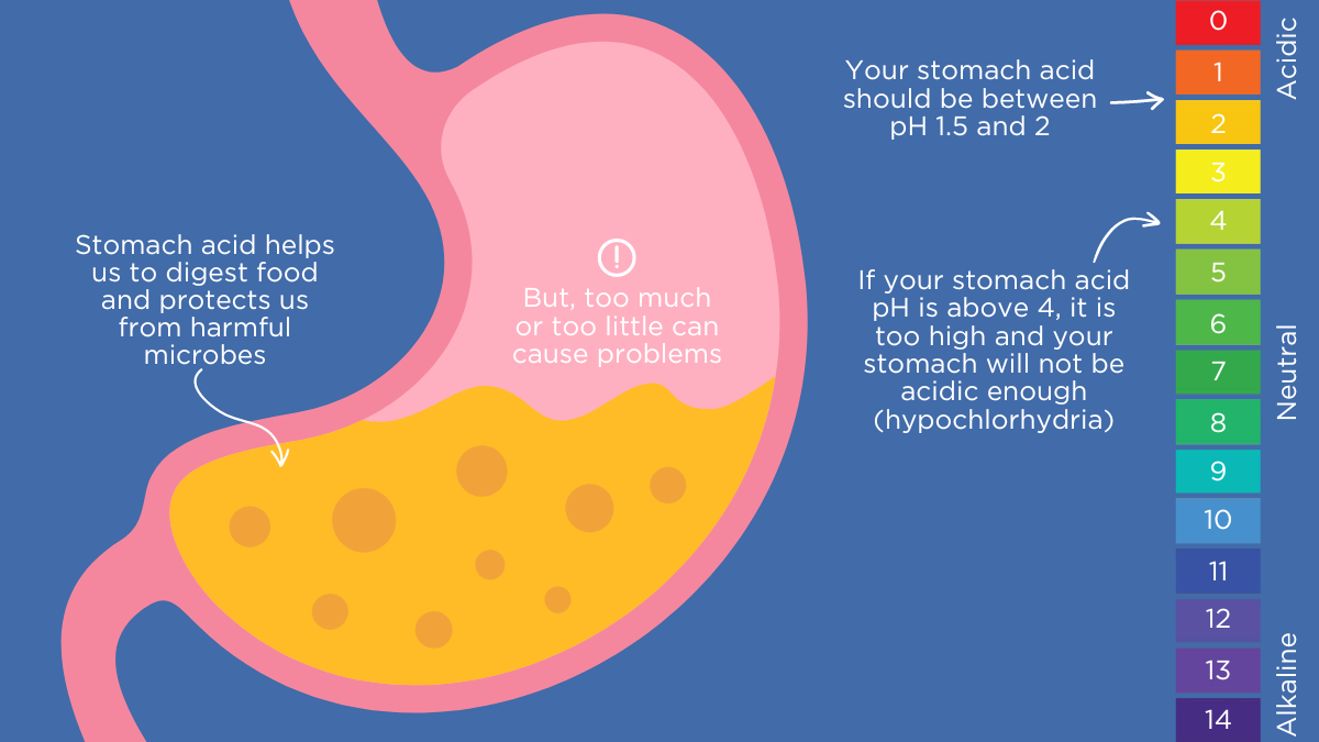 stomach-acid