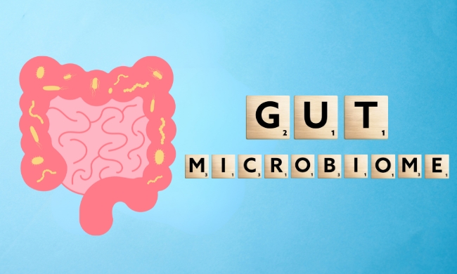 waht-is-the-gut-microbiome