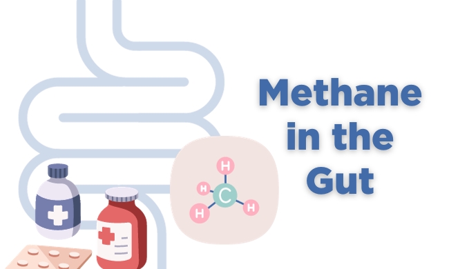 Methane in the gut - What are my treatment options blog, image showing a gut with microbes producing methane, and some medicine bottles with tablets.