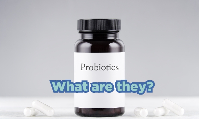 What are probiotics blog, image showing a gut with microbes.