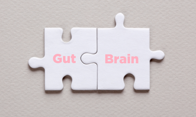 gut brain connection puzzle pieces