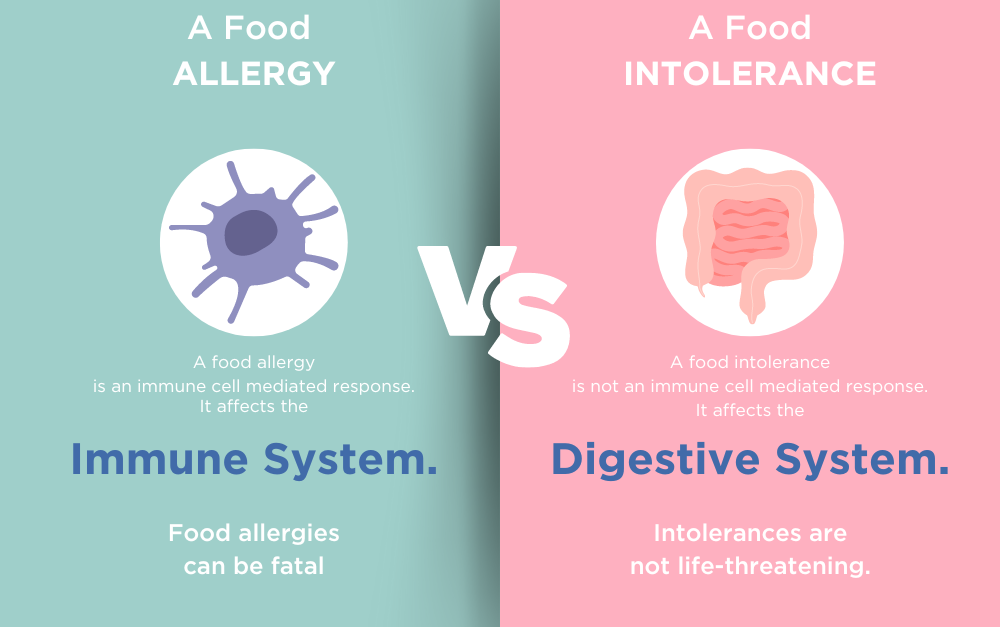 A food allergy vs a food intolerance