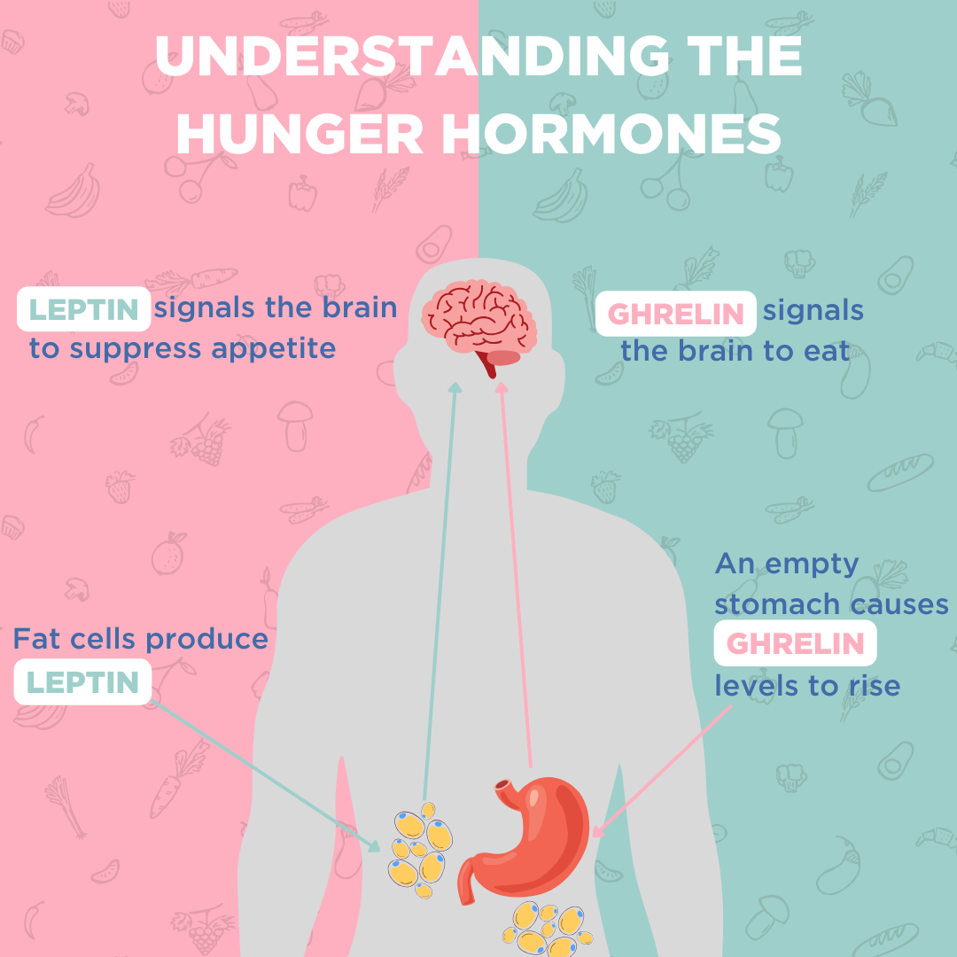 understanding hunger hormones