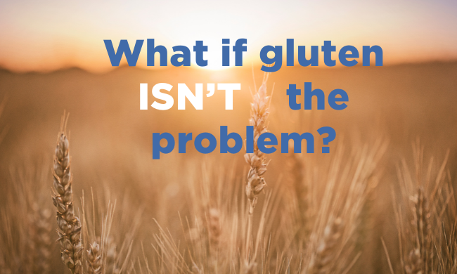 gluten website thumbnail