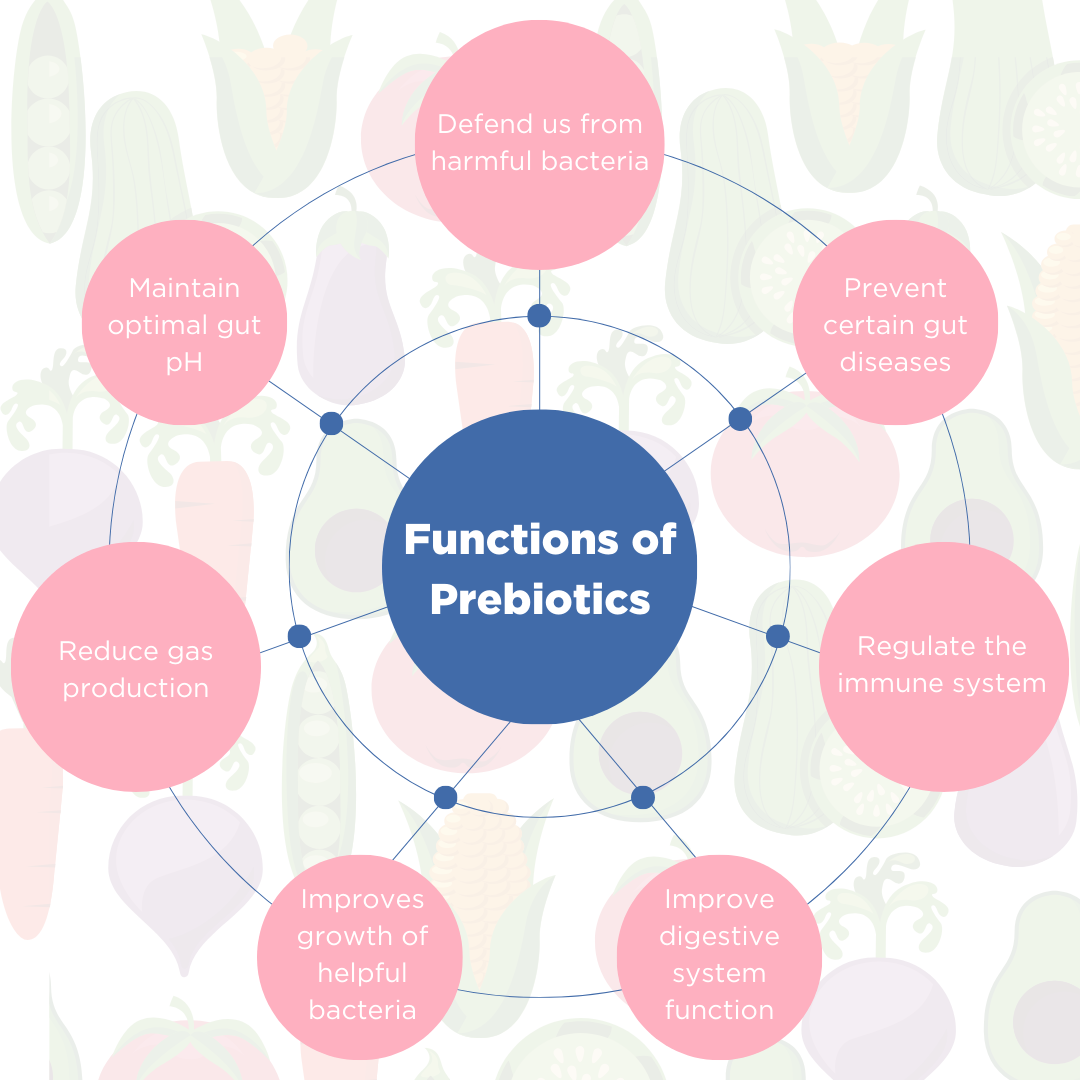 functions of prebiotics