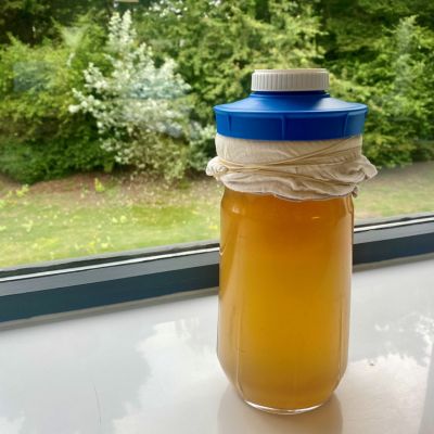 home-made kombucha brew