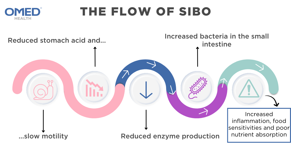 SIBO-eBook-flow-of-SIBO