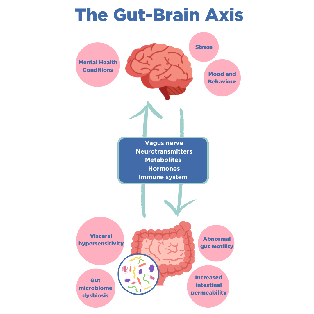 imo gut brain axis blog