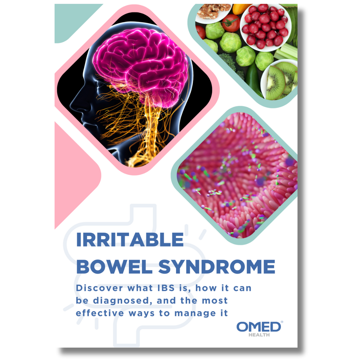 ibs ebook