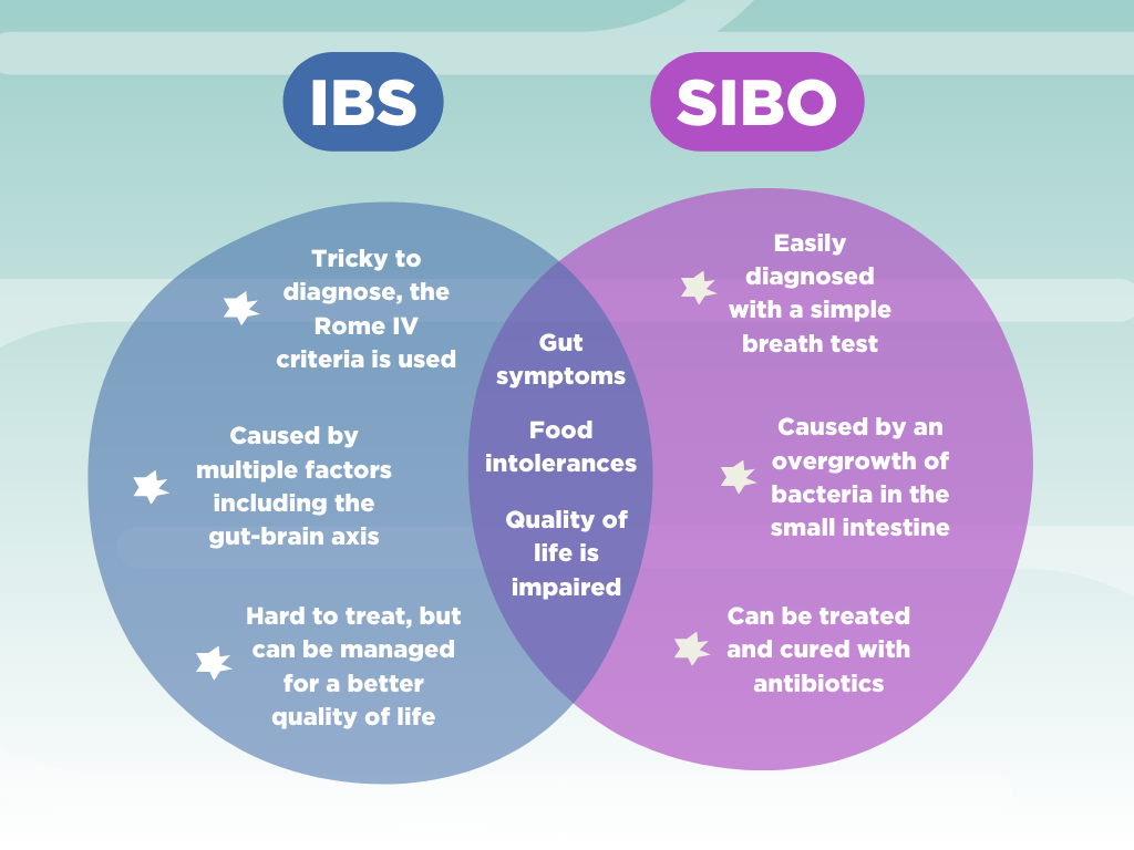 IBS vs SIBO What’s the connection (Presentation (43))