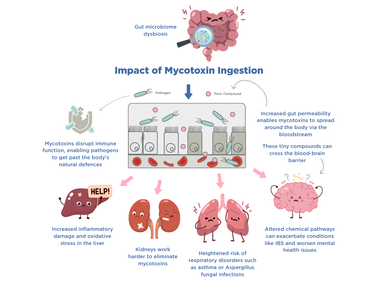 mycotoxins affect human health